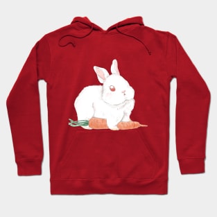 Ruby Rabbit with Carrot Hoodie